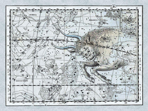 Maps of the Heavens: Taurus the Bull White Modern Wood Framed Art Print with Double Matting by Jamieson, Alexander
