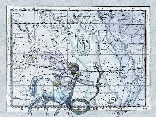 Image Only