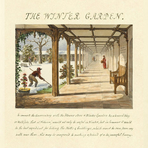 The Winter Garden, 1813 White Modern Wood Framed Art Print with Double Matting by Repton, Humphry