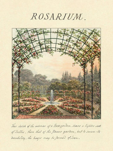 Rosarium, 1813 Black Ornate Wood Framed Art Print with Double Matting by Repton, Humphry