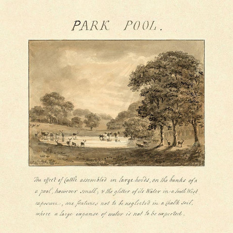 Park Pool, 1813 Black Modern Wood Framed Art Print with Double Matting by Repton, Humphry