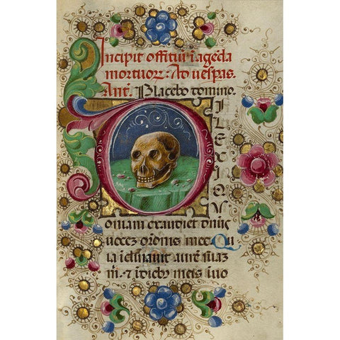 Initial D: A Skull in a Rocky Field Gold Ornate Wood Framed Art Print with Double Matting by Crivetti, Taddeo