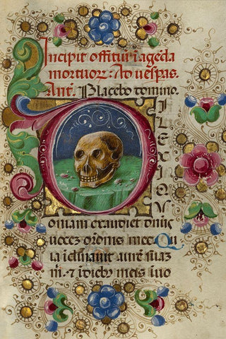 Initial D: A Skull in a Rocky Field Black Ornate Wood Framed Art Print with Double Matting by Crivetti, Taddeo