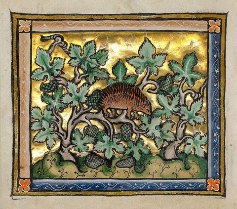 A Hedgehog (detail) White Modern Wood Framed Art Print with Double Matting by Franco-Flemish 13th Century