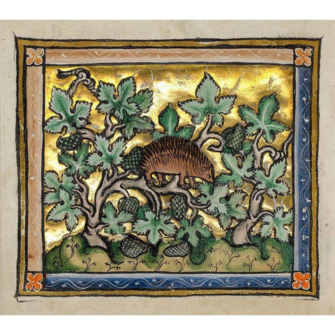 A Hedgehog (detail) Black Modern Wood Framed Art Print with Double Matting by Franco-Flemish 13th Century