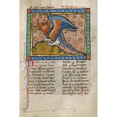 A Dragon Gold Ornate Wood Framed Art Print with Double Matting by Franco-Flemish 13th Century