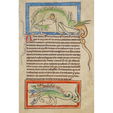 A Hydrus; A Hydra White Modern Wood Framed Art Print by English 13th Century