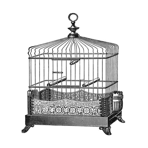 Etchings: Birdcage - Filigree base. Black Ornate Wood Framed Art Print with Double Matting by Catalog Illustration