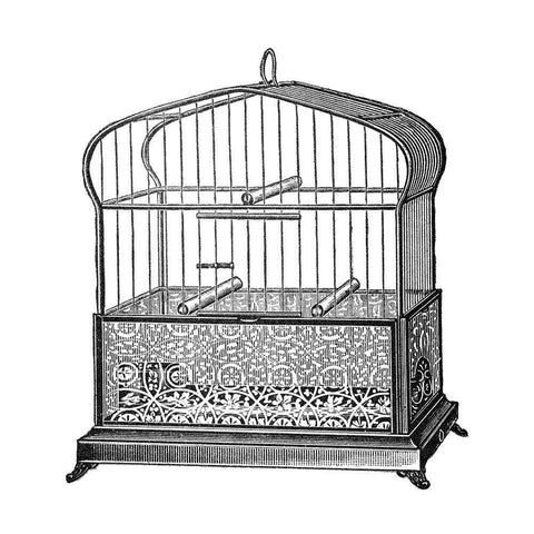 Etchings: Birdcage - Onion-peak top, filigree pattern base Black Ornate Wood Framed Art Print with Double Matting by Catalog Illustration