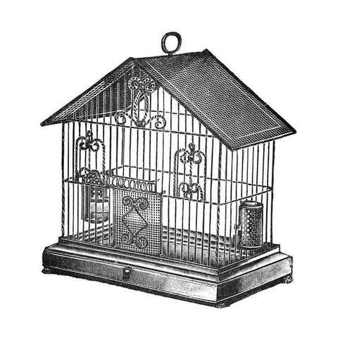 Etchings: Birdcage - Peaked top, twisted wire detail. White Modern Wood Framed Art Print by Catalog Illustration