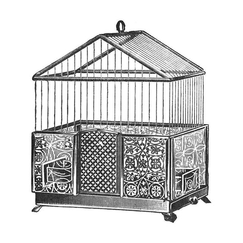 Etchings: Birdcage - Peaked top, patterned base. Black Modern Wood Framed Art Print with Double Matting by Catalog Illustration