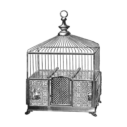 Etchings: Birdcage - Pyramidal top, patterned base. Black Modern Wood Framed Art Print with Double Matting by Catalog Illustration