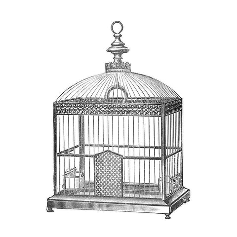 Etchings: Birdcage - Arched top, filigree detail. Black Modern Wood Framed Art Print by Catalog Illustration