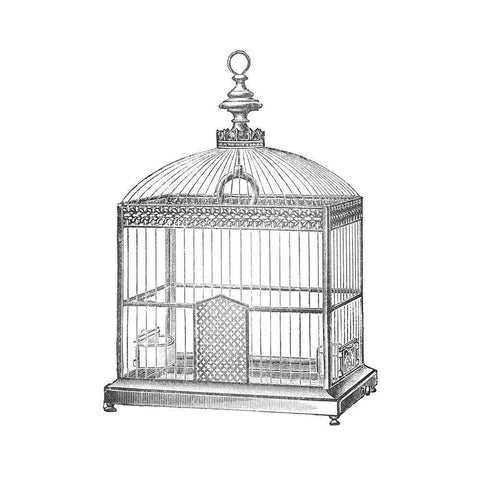 Etchings: Birdcage - Arched top, filigree detail. White Modern Wood Framed Art Print by Catalog Illustration