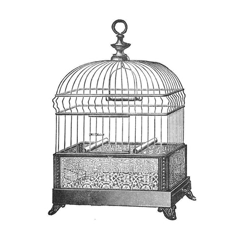 Etchings: Birdcage - Gable top, filigree base. White Modern Wood Framed Art Print by Catalog Illustration