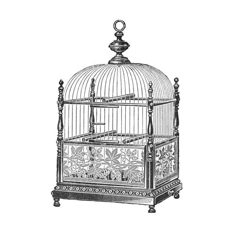 Etchings: Birdcage - Dome top, spindle corners, vine detail base. Black Modern Wood Framed Art Print with Double Matting by Catalog Illustration