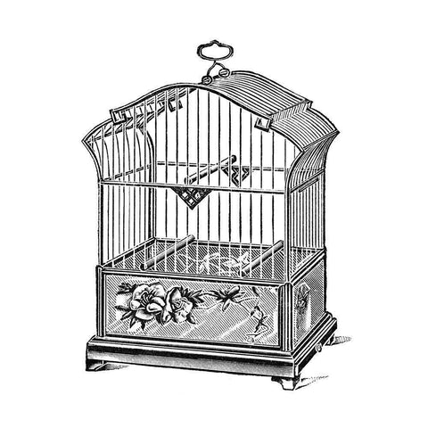 Etchings: Birdcage - Gable top, rose base. Black Modern Wood Framed Art Print by Catalog Illustration
