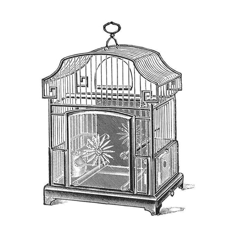Etchings: Birdcage - Gable top, daisy base. White Modern Wood Framed Art Print by Catalog Illustration