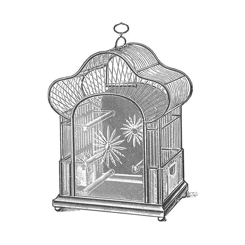 Etchings: Birdcage - Palmate top, daisy detail. Black Modern Wood Framed Art Print by Catalog Illustration