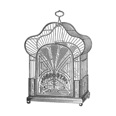 Etchings: Birdcage - Palmate top, forget-me-not detail. Black Ornate Wood Framed Art Print with Double Matting by Catalog Illustration