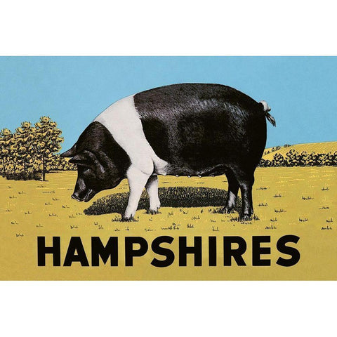 Pigs and Pork: Hampshires Gold Ornate Wood Framed Art Print with Double Matting by Advertisement