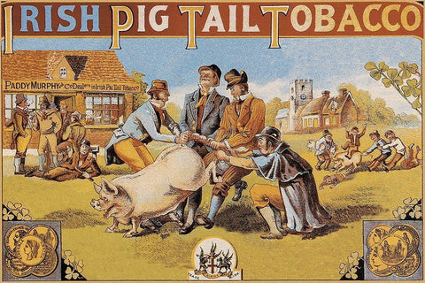 Pigs and Pork: Irish Pig Tail Tobacco White Modern Wood Framed Art Print with Double Matting by Advertisement