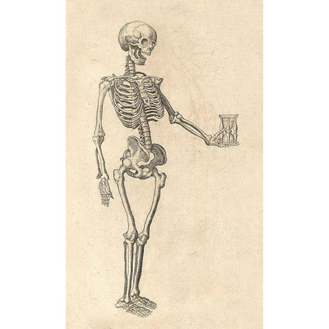 Human Skeleton with Hourglass White Modern Wood Framed Art Print by Bauhin, Caspar