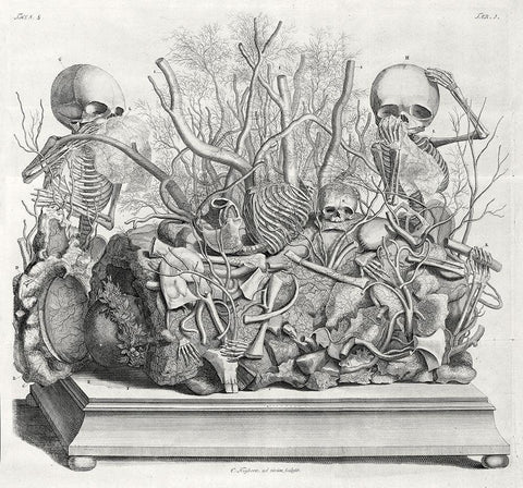 Diorama of fetal skeletons arranged with various internal organs Black Ornate Wood Framed Art Print with Double Matting by Huyberts, Cornelis