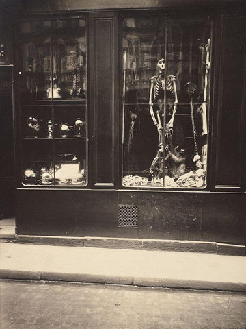 Zoologists Shop Black Ornate Wood Framed Art Print with Double Matting by Atget, Eugene