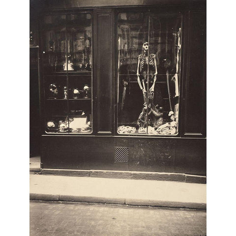 Zoologists Shop Black Modern Wood Framed Art Print with Double Matting by Atget, Eugene
