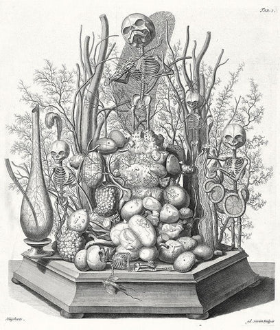 Ad. vivim Sculpsit Black Ornate Wood Framed Art Print with Double Matting by Huyberts, Cornelis