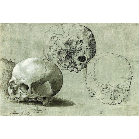 Study of Three Skulls Black Modern Wood Framed Art Print with Double Matting by Unknown Southern German