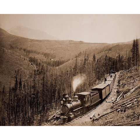 Marshall Pass, Colorado, Westside, 1880-1881 Gold Ornate Wood Framed Art Print with Double Matting by Jackson, William Henry