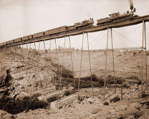 Dale Creek Bridge, Wyoming, Union Pacific Railway, 1885 Black Ornate Wood Framed Art Print with Double Matting by Jackson, William Henry