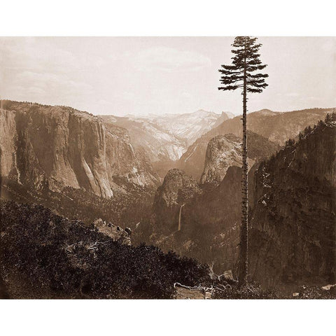 Yosemite Valley from the Best General View, 1866 Gold Ornate Wood Framed Art Print with Double Matting by Watkins, Carleton