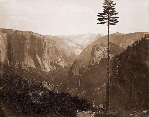 Yosemite Valley from the Best General View, 1866 Black Ornate Wood Framed Art Print with Double Matting by Watkins, Carleton