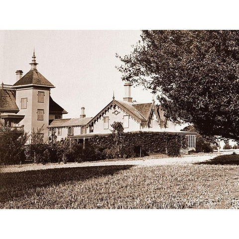 Residence of Mr. Howard, San Mateo, California, with Olive Tree, 1863-1880 Black Modern Wood Framed Art Print with Double Matting by Watkins, Carleton