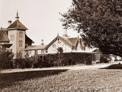 Residence of Mr. Howard, San Mateo, California, with Olive Tree, 1863-1880 White Modern Wood Framed Art Print with Double Matting by Watkins, Carleton