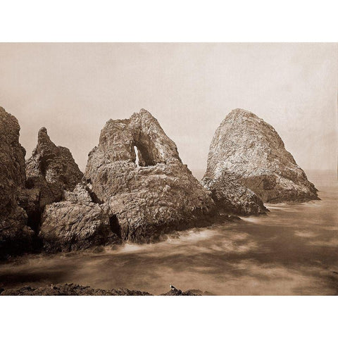 Sugarloaf Islands at Fishermans Bay, Farallon Islands, San Francisco, California, 1869 Gold Ornate Wood Framed Art Print with Double Matting by Watkins, Carleton