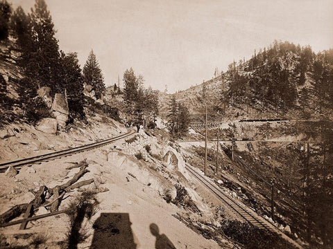 View on Lake Tahoe, California, 1877 Black Ornate Wood Framed Art Print with Double Matting by Watkins, Carleton