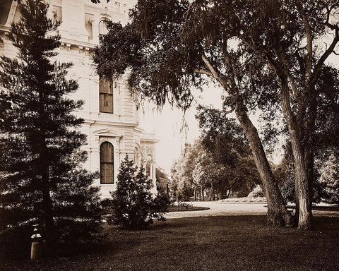 Thurlow Lodge, Menlo Park, California - Lawn and House, 1874 Black Ornate Wood Framed Art Print with Double Matting by Watkins, Carleton