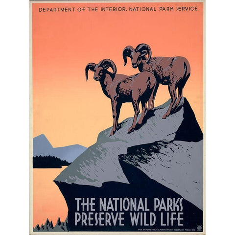 The National Parks Preserve Wild Life, ca. 1936-1939 White Modern Wood Framed Art Print by Hirt, J.