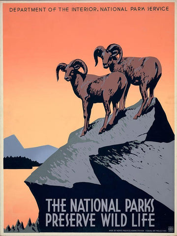 The National Parks Preserve Wild Life, ca. 1936-1939 Black Ornate Wood Framed Art Print with Double Matting by Hirt, J.