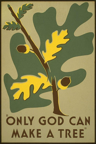 Only God Can Make a Tree, 1938 White Modern Wood Framed Art Print with Double Matting by Clough, Stanley Thomas