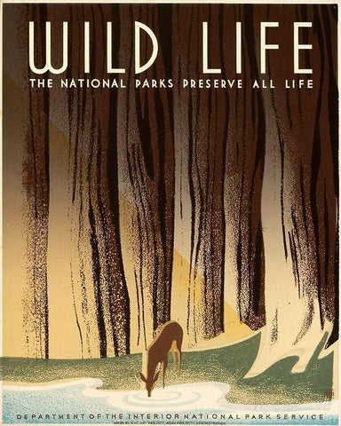 Wild Life; The National Parks Preserve All Life, ca. 1936-1940 Black Ornate Wood Framed Art Print with Double Matting by Nicholson, Frank S.