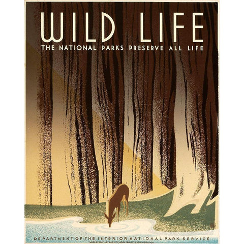 Wild Life; The National Parks Preserve All Life, ca. 1936-1940 White Modern Wood Framed Art Print by Nicholson, Frank S.