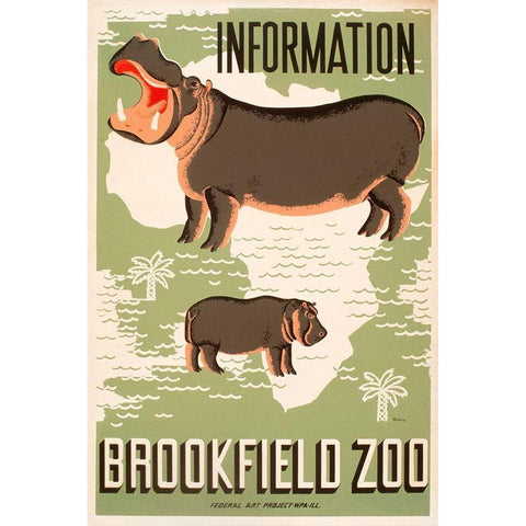 Information - Brookfield Zoo - Hippos White Modern Wood Framed Art Print by Waltrip, Mildred