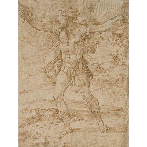 David with the Head of Goliath White Modern Wood Framed Art Print by Parmigianino, F.