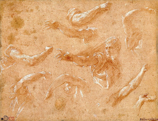 Image Only
