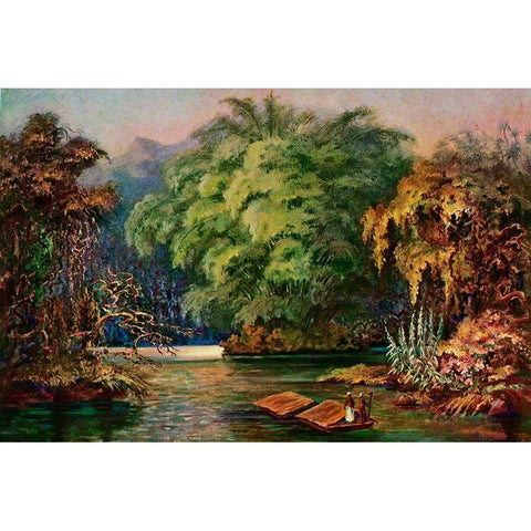 Riesenbambus von Ceylon Fahrt auf dem Schwarzen Fluss Kalu Ganga White Modern Wood Framed Art Print by Haeckel, Ernst